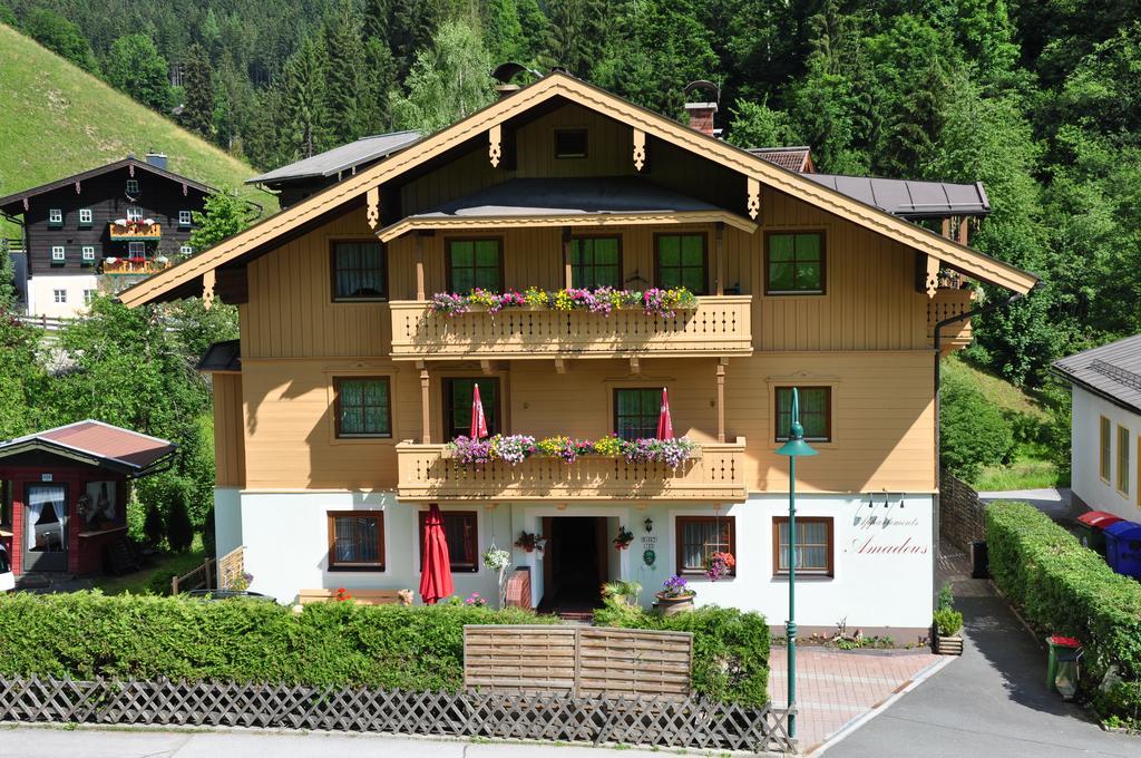Haus Amadeus Hotell Wagrain Exteriör bild